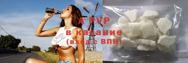 прущие грибы Абинск