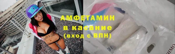 прущие грибы Абинск