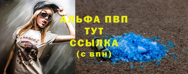 прущие грибы Абинск
