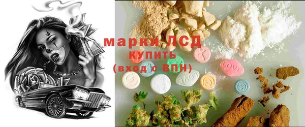 прущие грибы Абинск