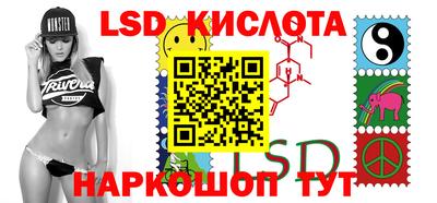 гидра Новодвинск