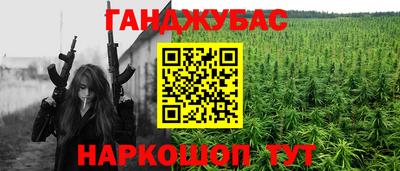 гидра Новодвинск