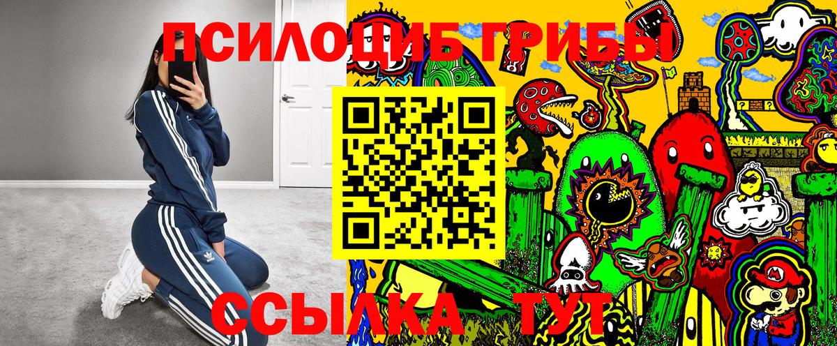 Галлюциногенные грибы MAGIC MUSHROOMS  Галлюциногенные грибы ЛСД  Вход с VPN  Ярославль 